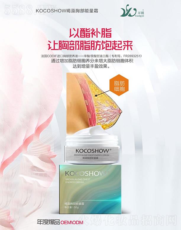 V|f(wn)Ƽ޹˾KOCOSHOWز˪ 50g